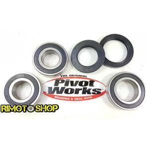 Rear wheel and seal kit KAWASAKI ZX-9R 2000-2003-PWRWS-K04-000 | RiMotoShop