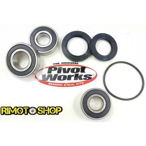 Kit cuscinetti e paraoli ruota posteriore KAWASAKI Z 750S 2005-2006-PWRWS-K14-000 | RiMotoShop