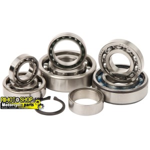 Trasmission bearing kit KTM 250 SX 2003-2016-TBK0019 | RiMotoShop