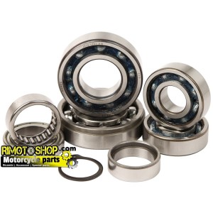 Trasmission bearing kit SUZUKI RMZ 450 2008-2012-TBK0054 | RiMotoShop