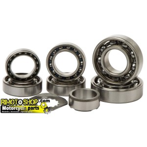Trasmission bearing kit KTM 125 SX 2016-2018-TBK0108 | RiMotoShop