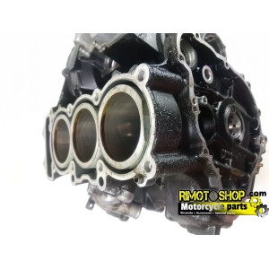 Engine cylinder housing TRIUMPH STREETTRIPLE 675 07 11-TR-675-004-RiMotoShop