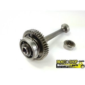 Crankshaft countershaft shaft TRIUMPH STREETTRIPLE 675 07 11-TR-675-0025 | RiMotoShop