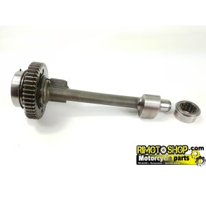 Crankshaft countershaft shaft TRIUMPH STREETTRIPLE 675 07 11-TR-675-0025 | RiMotoShop