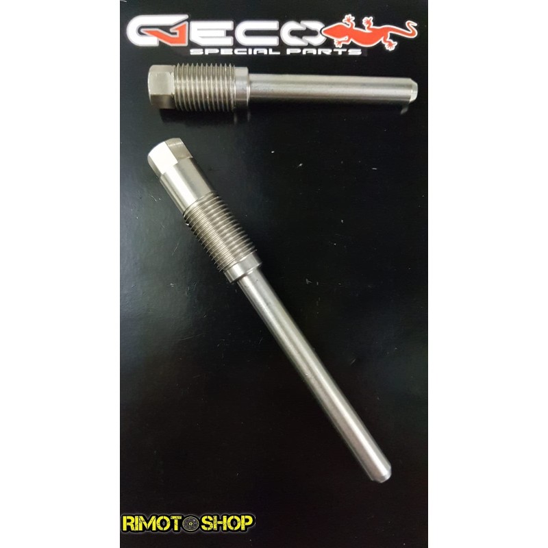 Brake pad pins kit Beta RR 500 2012/2018-750.013.000 | RiMotoShop