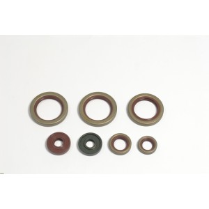 Kit retenes motor Ktm ENDURO 690 R 2009-2013