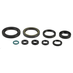 Pochette Joint spy Honda CRF 450 R 2009-2016-P400210400239-RiMotoShop
