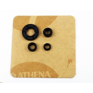 Kit retenes motor Suzuki DR SM 125 2009