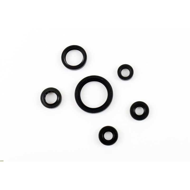 Kit retenes motor Suzuki DR-Z 400 2000-2007