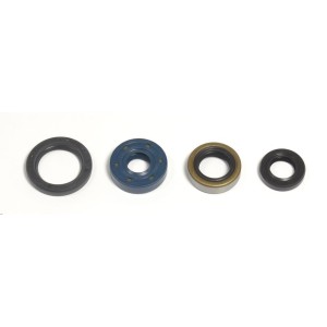 Engine oil seal kit Kawasaki KLX 110 2002-2017-P400250400030 | RiMotoShop