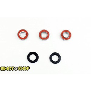 Cuscinetti Ruota e Paraolio posteriore Kawasaki KX 125