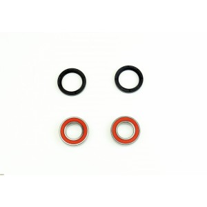 Cuscinetti Ruota e Paraolio posteriore Beta RR390 4T