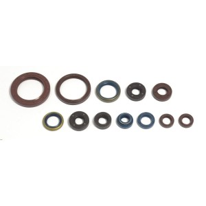 Kit retenes motor Aprilia SXV 550 2006-2011