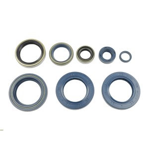 Pochette Joint spy Ktm SMC 660 2003-2006-P400270400006-RiMotoShop