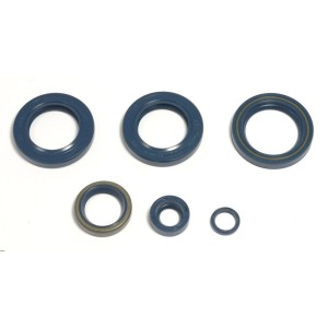Kit paraolio motore Ktm SX 400 1998-P400270400051|RiMotoShop