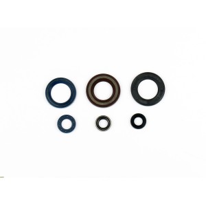 Kit paraolio motore Ktm SX 500 1986-1996-P400270400070|RiMotoShop