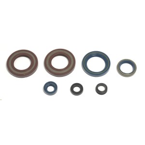 Kit paraolio motore Ktm LC4 500 SX-EXC