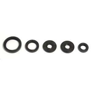 Engine oil seal kit husqvarna TC 449 Husqvarna Engine 2011-2014-P400068400015-RiMotoShop