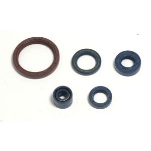 Kit retenes motor Husqvarna TE 310 2009-2010