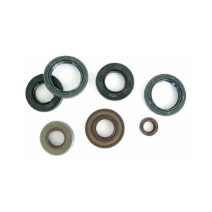 Kit paraolio motore Yamaha WR 125 X 2009-2011-P400485400164|RiMotoShop