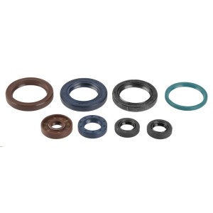Kit retenes motor Ktm XC-F 250 2007-2012