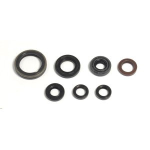 Kit paraolio motore Yamaha YZF 250 2001-2013-P400485400039 | RiMotoShop