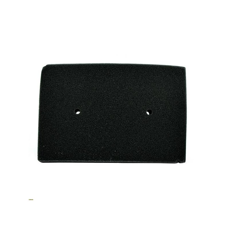 Air filter Kawasaki 300 Z ABS 14-16-K2167 | RiMotoShop