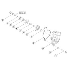 Kit revisione pompa acqua Beta RR 520 2010-2011