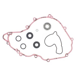 kit guarnizioni pompa acqua Husqvarna Fe 250