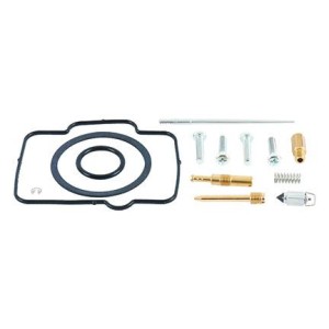 kit revisione carburatore All Balls Kawasaki Kx 250
