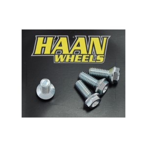 kit brake disc screws Haan Wheels KTm Sx 65 2000-2019-VT3024 | RiMotoShop