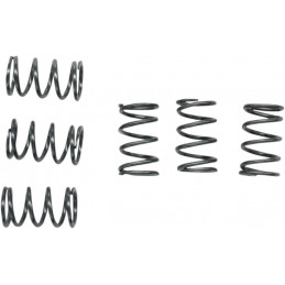 Ressorts d’embrayage pour KAWASAKI KLX 110 R 02-17 Ebc