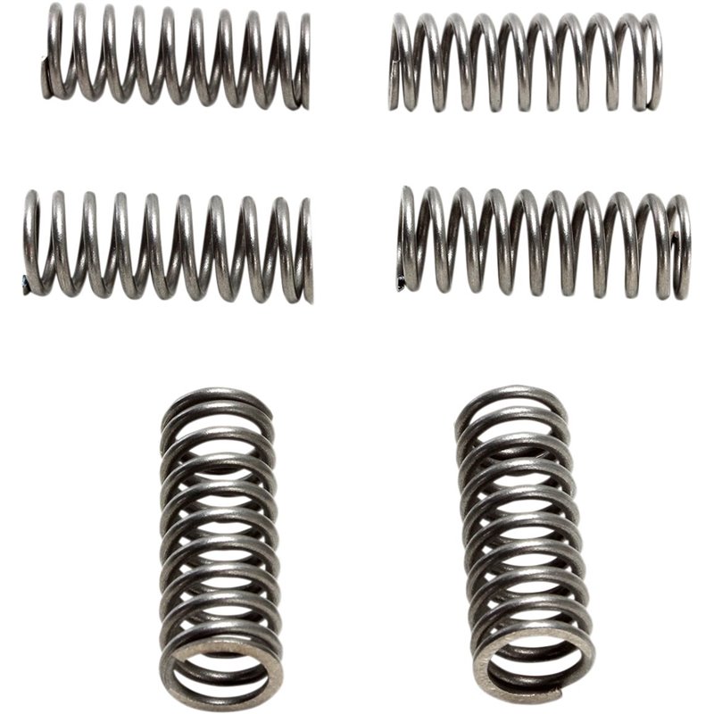 Set molle frizione CSK HONDA CRF 450 R (6 Spring Type) 17-18 Ebc clutch