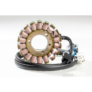 Statore SUZUKI DR200SE 96-13-2111-0200|RiMotoShop