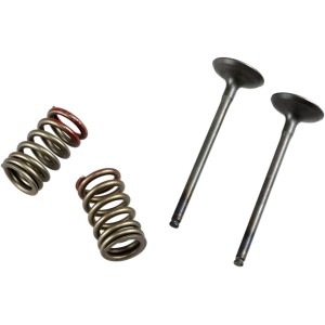 Valve kit and head springs KAWASAKI KX250F 04‑06 Intake side-9261457 | RiMotoShop