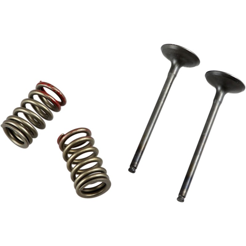 Kit de válvula y muelles de culata Kawasaki KX250F 09-10 escape