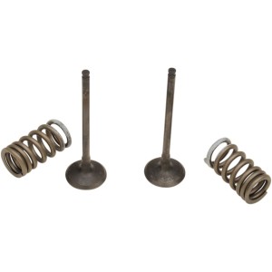 Valve kit and head springs SUZUKI RM‑Z250 07‑17 Intake side-9261456 | RiMotoShop