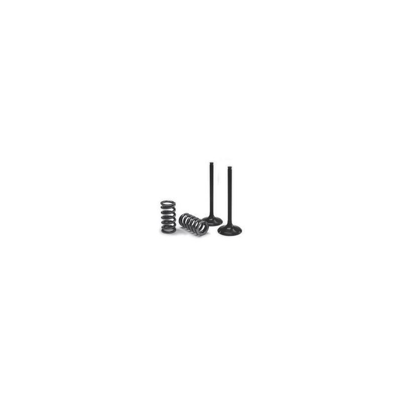 Kit valvole e molle testata HUSQVARNA FC250 14-15 Lato