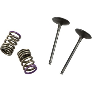 Kit valvole e molle testata KAWASAKI KX250F 07-08 Lato