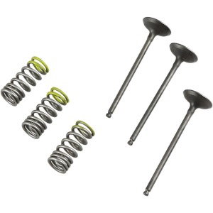 Kit valvole e molle testata YAMAHA WR250F 01-13 Lato