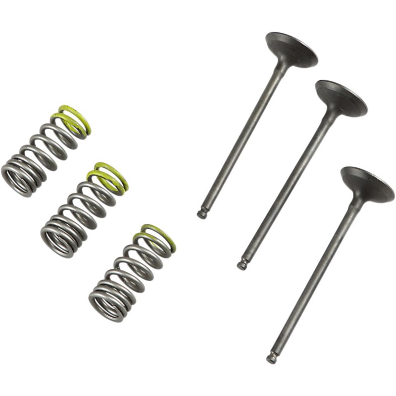Kit valvole e molle testata YAMAHA WR250F 01-13 Lato