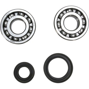 Cuscinetti di banco e paraolio SUZUKI RM250 89-93