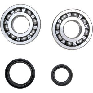 Cuscinetti di banco e paraolio SUZUKI RM250 00-02