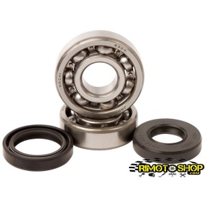 Cuscinetti di banco e paraolio YAMAHA YZ85 02-17