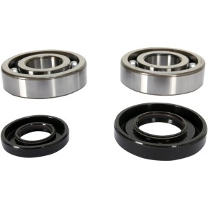 Cuscinetti di banco e paraolio YAMAHA YZ250 01-17