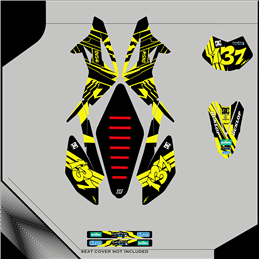 Custom graphics BETA  RR 500 