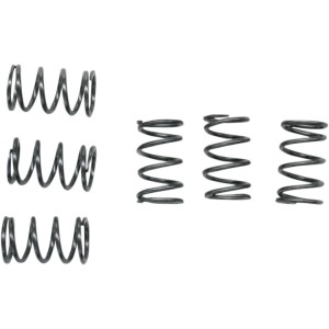 clutch spring set SUZUKI DR-Z 110 03-05 Ebc clutch-CSK40 | RiMotoShop