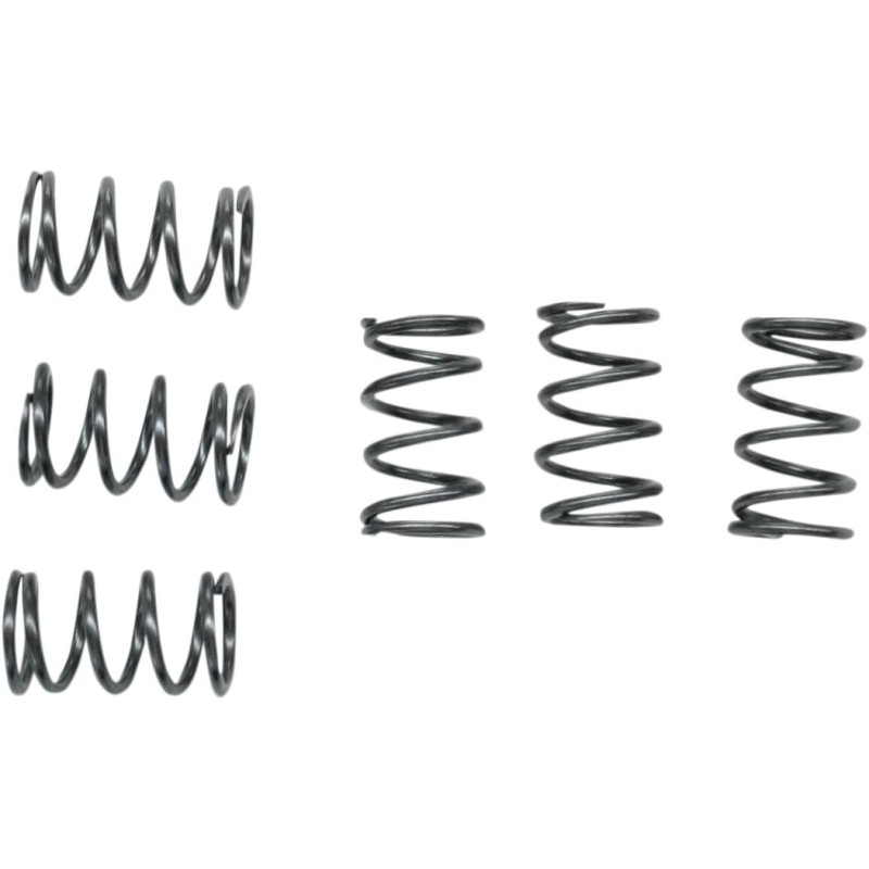 clutch spring set SUZUKI RM 65 03-05 Ebc clutch-CSK40 | RiMotoShop
