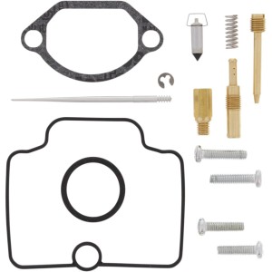 Kit revisione carburatore KAWASAKI KX100 14-19