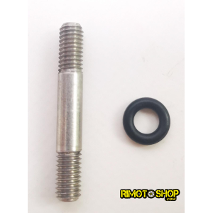 Valve pin rave2 APRILIA RS RX MX SX HM 125 rotax122-RAV2-ACC-96 | RiMotoShop